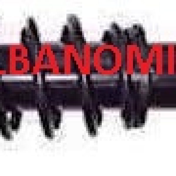 AMMORTIZZATORE POSTERIORE MICROCAR M8 M1401066
