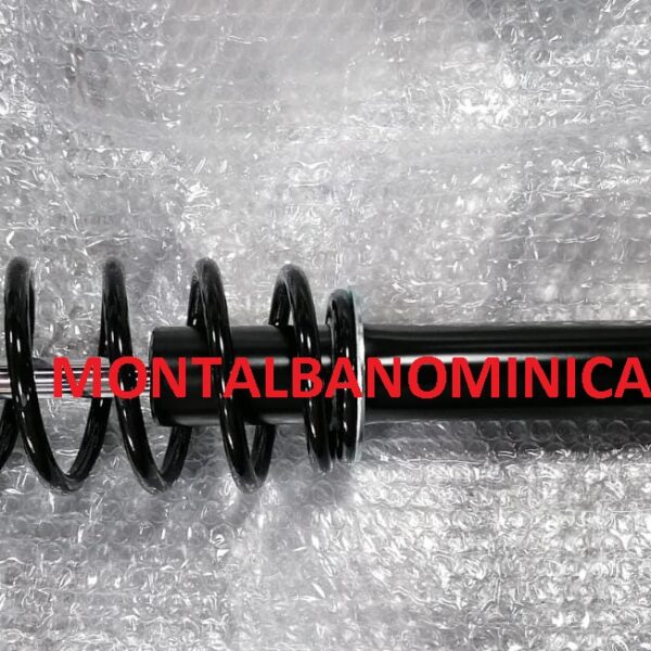 AMMORTIZZATORE ANTERIORE LIGIER IXO 1401190