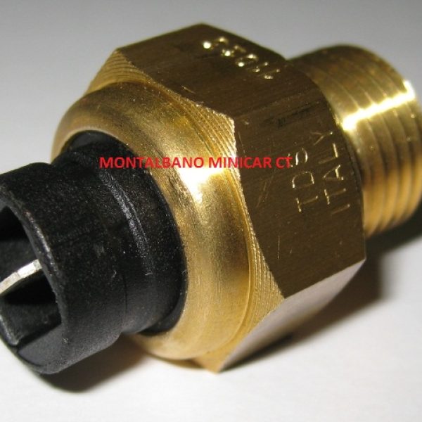 BULBO TERMOSTATO PER SPIA TEMPERATURA ACQUA ORIGINALE LOMBARDINI LDW502 LGW523