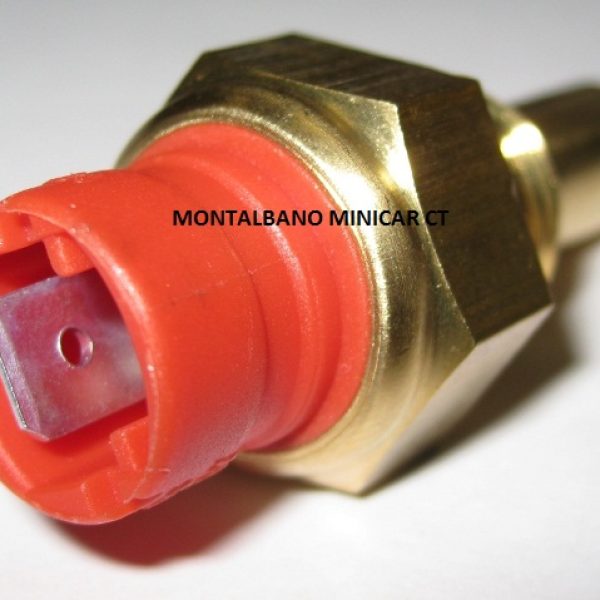 BULBO SENSORE PER CENTRALINA PRERISCALDO CANDELETTE ORIGINALE LOMBARDINI LDW502