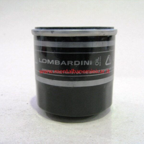 FILTRO ( CARTUCCIA ) OLIO ORIGINALE LOMBARDINI LDW442 DCI COMMON RAIL