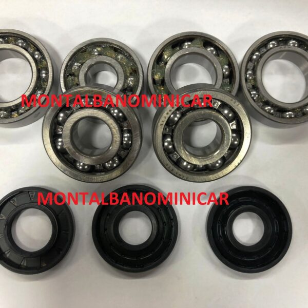 KIT ANELLI TENUTA PARAOLIO E CUSCINETTI REVISIONE CAMBIO STILFRENI LIGIER / MICROCAR