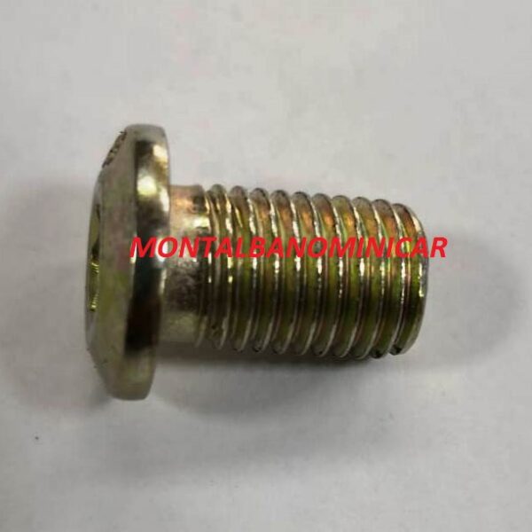 VITE TESTA PIATTA M.10 PER DISCO FRENO D. 216 LIGIER / MICROCAR