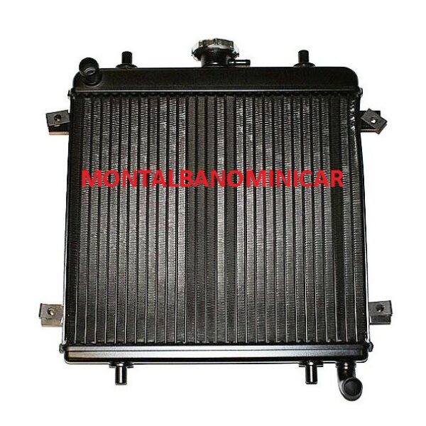 RADIATORE ACQUA GRECAV EKE E SONIQUE CON MOTORE FOCS