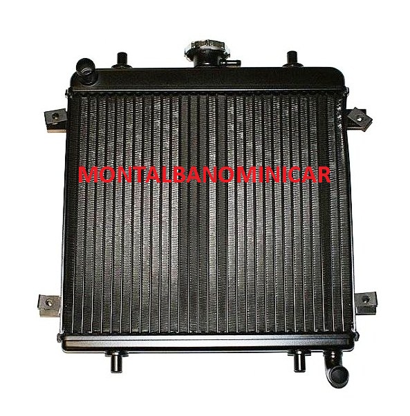 RADIATORE ACQUA GRECAV EKE E SONIQUE CON MOTORE FOCS