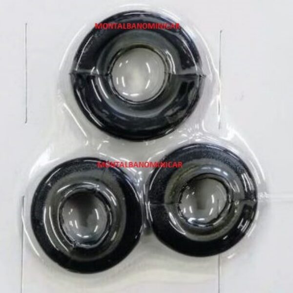 KIT GUARNIZIONI PINZA FRENI POSTERIORE LIGIER  E MICROCAR