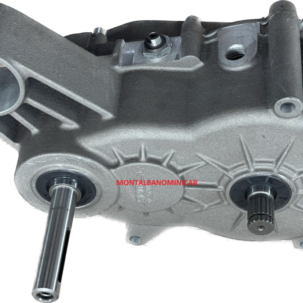 CAMBIO ( INVERSORE ) RAPPORTO 1:8 LIGIER JS50 MICROCAR MGO DUE’