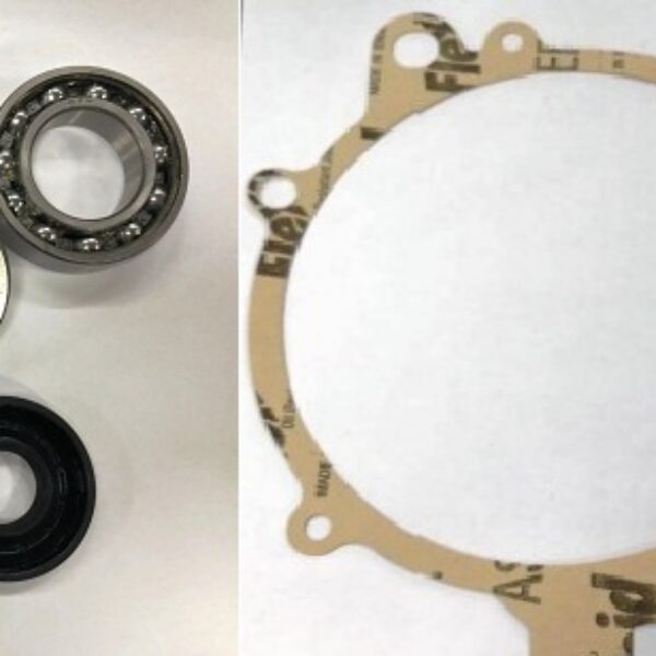 KIT RIPARAZIONE / REVISIONE CAMBIO  COMEX CHATENET MICROCAR CASALINI GRECAV