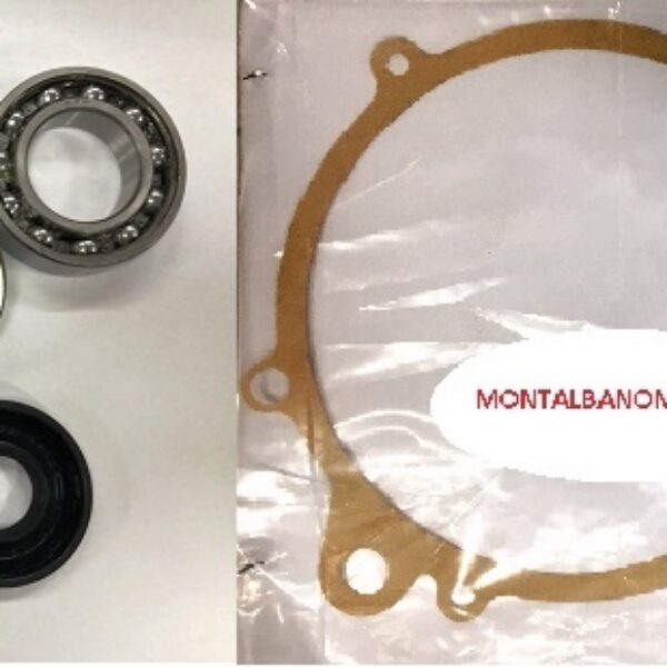 KIT RIPARAZIONE / REVISIONE CAMBIO  COMEX AIXAM