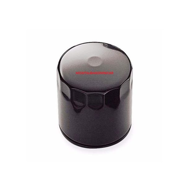FILTRO OLIO LIGIER MYLI E JS50 F5 CON MOTORE GCL G499
