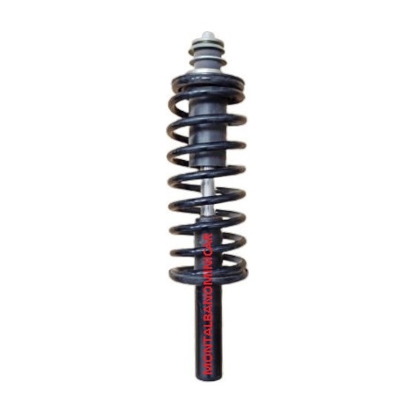 AMMORTIZZATORE ANTERIORE JDM ALOES E ROXSY