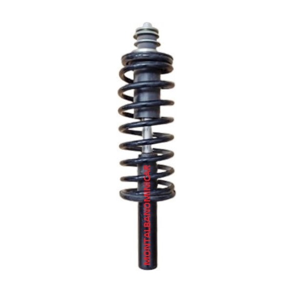 AMMORTIZZATORE ANTERIORE JDM ALOES E ROXSY