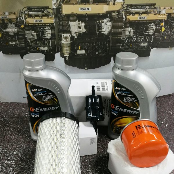 KIT MANUTENZIONE LOMBARDINI FOCS LDW502 LGW523 F.A. CILINDRICO