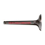 Valvola aspirazione yanmar 2tne68 - 11926011100