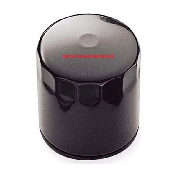 FILTRO OLIO LIGIER MYLI E JS50 F5 CON MOTORE GCL G499